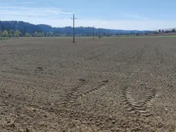 ++GEWERBEGRUNDSTÜCK ca. 20.0000 m² im GROßRAUM von GRAZ und LEIBNITZ++ PERFEKTE VORRAUSSETZUNGEN für BETRIEBSANSIEDLUNG gegeben++ BD 0,2 - 0,6++