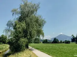 SALZBURG STADT, FAMILIENHIT MAXGLAN-WEST: 4 Zimmer, XXL Hobbyraum, Eigengarten, Garage