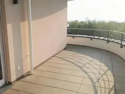 IHRE FREUNDE WERDEN SIE BENEIDEN