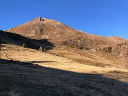 5,8 ha Alamgrundstück im Mölltal zu vekaufen