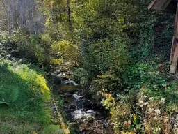 Für Naturliebhaber und Heimwerker- sanierungsbedürftiges Bauernhaus mit Nebengebäuden - zwischen Hermagor und Villach