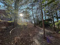 [06502] Almhütten Flair - Idyllisches Grundstück mit Holzhaus nähe Ternitz!