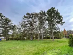 [06125] RESERVIERT - So wow! 1.560m² Bauland in Föhrenau/Schwarzau am Steinfeld