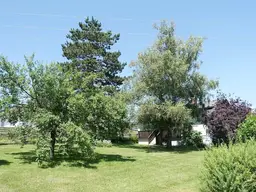 Absolute Grünruhelage in Wiesfleck - Einfamilienhaus mit großem Garten