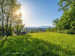 Beste Aussichten!