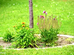 Großer Garten und Blick auf den Anninger - Entzückende Doppelhaushälfte in ruhiger Siedlungslage in Traiskirchen!