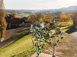 Preisreduktion! Heuriger Eory zum Traubenkogel zu verkaufen!
