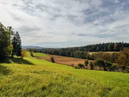 Bauerwartungsland mit Weganteil im Zentrum von Hengsberg