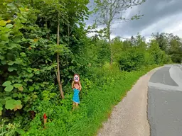 BAURECHT Großzügige Baulandfläche in Faistenau, Hintersee!