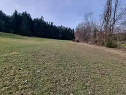 Landwirtschaftliche Nutzfläche - mit kleinem Waldanteil