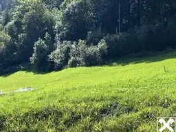 Baugrundstück in Sonnenlage
