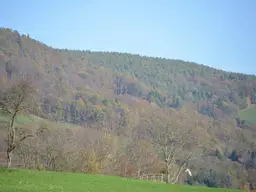 Ungewöhnlicher Baugrund mit Freiland ca. 600 m², Wochenendhütte, nahe Schöckelstraße