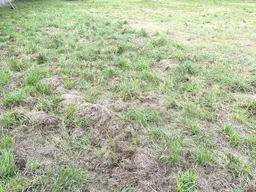 Ruhiges Baugrundstück in perfekter Lage – Gössendorf Ideal für Anleger, Bauträger und Gewerbetreibende
