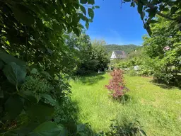 Thaddäus Stammelstrasse - sonniges, ebenmässiges Grundstück in absoluter Ruhelage mit 598 m² optional gäbe es noch 647 m² dazu