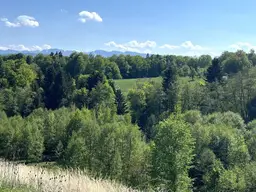 Ihr neues Wohlfühlzuhause im WOHNPARK AM POSCHENHOF