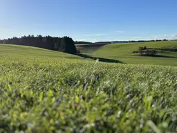 Grundstück mit Weitblick - Naturidylle am Gamperner Berg