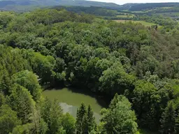 PRIVATE RETREAT NUR 30 MINUTEN VON DER OPER /// MIT EIGENEM PARK, WALD UND BADESEE