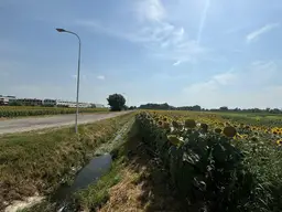 Grünland in zentraler Lage in Neusiedl am See