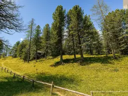 ZWEITWOHNSITZTAUGLICH! Grundstück in idyllischer Lage auf der Turracher Höhe