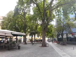 Altstadt nahe Färberplatz Geschäftslokal vielseitig nutzbar