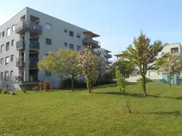 Peter Rosegger sonnige 3ZI S/O Balkon ökologisch Massivholz/Lehm