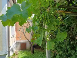 Landhaus Charme 7 ZI, Balkon- herrliche Aussichtslage zum Hochwechsel, 3 Garagen