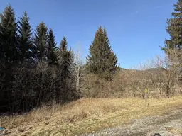 NEU! BAUGRUNDSTÜCK AM ENDE EINER SACKGASSE IN STEINHAUS AM SEMMERING!