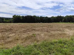 Baugrundstück in idyllischer Waldrandlage in Neuhaus in der Wart, Südburgenland!