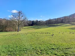 10 ha Wald- und Wiesenflächen in Feichsen