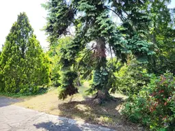 ALTES HAUS AUF SCHÖNEN BAUGRUND IN WIEN INZERSDORF