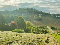 2 ERSCHLOSSSENE BAUGRÜNDE MIT OBSTBAUM-BESTAND UND WEINREBEN IM VULKANLAND DER SÜDOSTSTEIERMARK