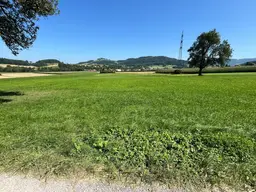 Landwirtschaftliche Fläche