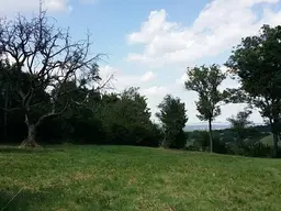 Grünland Tullnerfeld Aussichtslage