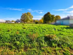 Wohnen im Grünen – mit der Stadt in greifbarer Nähe