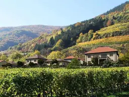 Attraktive Ferienwohnung als Zweit- oder Hauptwohnsitz mit Blick auf die Donau in der wunderschönen Weinbauregion Wachau