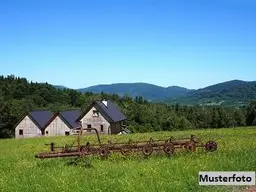 Historisches Anwesen mit Wohnhaus, alter Mühle und Sägewerk