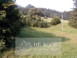 Schnäppchen Wunderschöne, südseitige Wiese, ! K E I N BAUGRUND !!