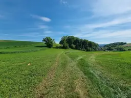 Exklusive Agrarflächen im Dunkelsteinerwald