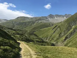 1000 ha Eigenjagd zu verpachten
