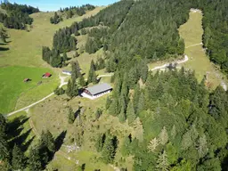 Berggasthof ANZERBERGALM - ein profitables Investment für € 380.000,- mit vielseitigen Nutzungsmöglichkeiten im Salzburger Bergland!