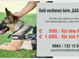 K3 - Bad Hofgastein - flaches, sonniges Baugrundstück zum Kauf!