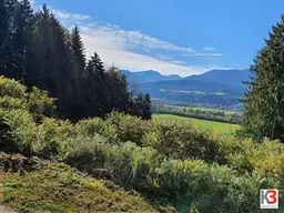 K3 - GELEGENHEIT FÜR BAUTRÄGER: Großer sonniger Baugrund, Südhang-Lage, unverbaubarer Fernblick, Waldrandlage im Dorfgebiet. Genehmigtes Bauprojekt vorhanden! Guter Preis.