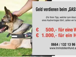 K3 - Doppelhaushälfte in ruhiger Lage | Gneis