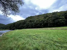 400 ha Eigenjagd mit Schwarzwildjagd