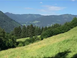 Attraktive landw. Wiesenfläche/ Weide