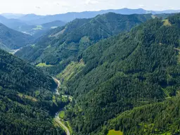 123 ha Eigenjagd mit hohem Altholzbestand