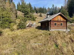 20 ha Wald St. Peter am Kammersberg I Murau