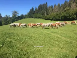 3 ha Grund &amp; Boden - Wertanlage