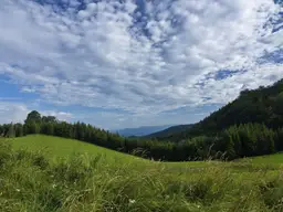 2 ha Wiesengrund mit Baufläche