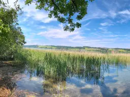 MATTSEE / SEEGRUNDSTÜCK für Villa direkt am Obertrumer See